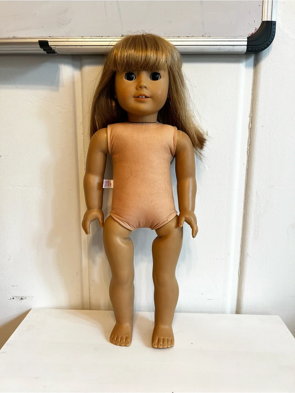 American Girl Doll (Custom Doll)